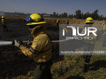 Firefighters are trying to put out a fire in the Cuemanco Ecological Park in Xochimilco, Mexico City. (