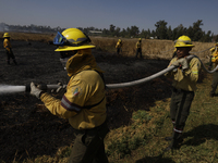 Firefighters are trying to put out a fire in the Cuemanco Ecological Park in Xochimilco, Mexico City. (