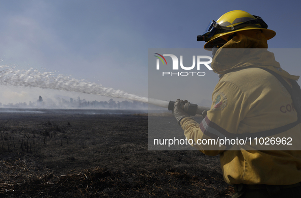 A firefighter is trying to put out a fire in the Cuemanco Ecological Park in Xochimilco, Mexico City. 