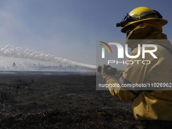 A firefighter is trying to put out a fire in the Cuemanco Ecological Park in Xochimilco, Mexico City. (