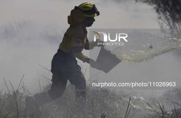 A firefighter is trying to put out a fire in the Cuemanco Ecological Park in Xochimilco, Mexico City. 