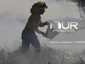 A firefighter is trying to put out a fire in the Cuemanco Ecological Park in Xochimilco, Mexico City. (