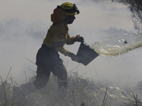 A firefighter is trying to put out a fire in the Cuemanco Ecological Park in Xochimilco, Mexico City. (