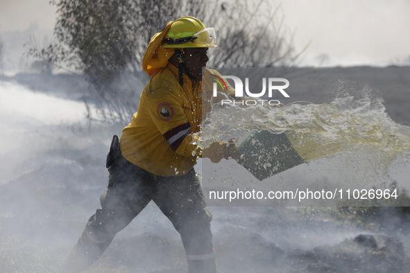 A firefighter is trying to put out a fire in the Cuemanco Ecological Park in Xochimilco, Mexico City. 