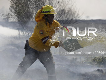 A firefighter is trying to put out a fire in the Cuemanco Ecological Park in Xochimilco, Mexico City. (