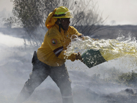 A firefighter is trying to put out a fire in the Cuemanco Ecological Park in Xochimilco, Mexico City. (