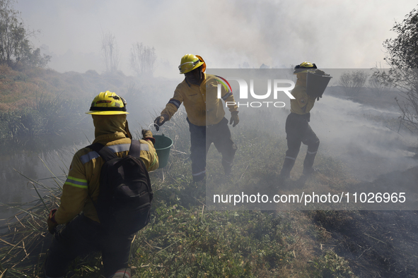 Firefighters are trying to put out a fire in the Cuemanco Ecological Park in Xochimilco, Mexico City. 