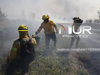 Firefighters are trying to put out a fire in the Cuemanco Ecological Park in Xochimilco, Mexico City. (