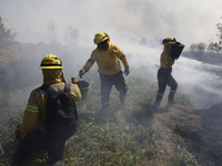 Firefighters are trying to put out a fire in the Cuemanco Ecological Park in Xochimilco, Mexico City. (