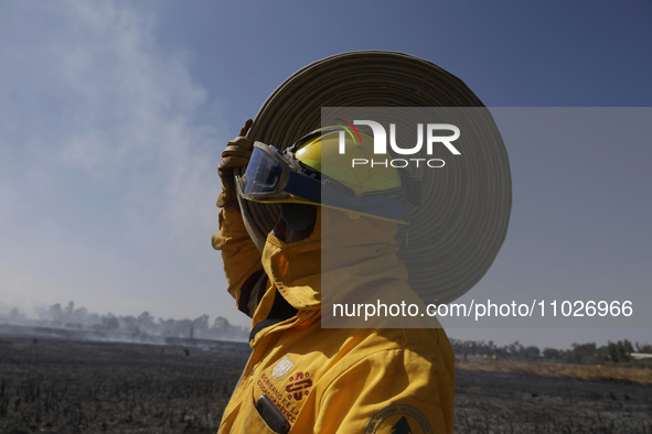 A firefighter is carrying a hose to extinguish a fire in the Cuemanco Ecological Park in Xochimilco, Mexico City. 