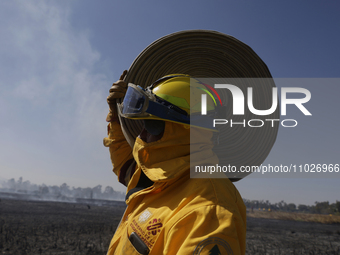 A firefighter is carrying a hose to extinguish a fire in the Cuemanco Ecological Park in Xochimilco, Mexico City. (