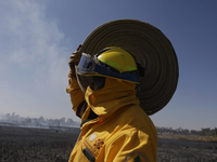 A firefighter is carrying a hose to extinguish a fire in the Cuemanco Ecological Park in Xochimilco, Mexico City. (