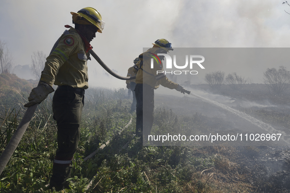 Firefighters are trying to put out a fire in the Cuemanco Ecological Park in Xochimilco, Mexico City. 