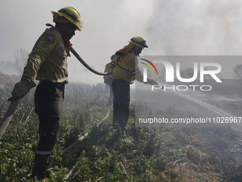 Firefighters are trying to put out a fire in the Cuemanco Ecological Park in Xochimilco, Mexico City. (