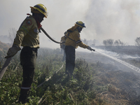 Firefighters are trying to put out a fire in the Cuemanco Ecological Park in Xochimilco, Mexico City. (