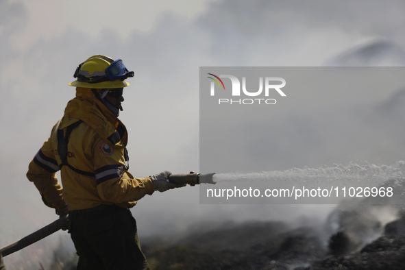 A firefighter is trying to put out a fire in the Cuemanco Ecological Park in Xochimilco, Mexico City. 