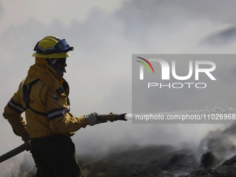 A firefighter is trying to put out a fire in the Cuemanco Ecological Park in Xochimilco, Mexico City. (