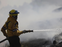 A firefighter is trying to put out a fire in the Cuemanco Ecological Park in Xochimilco, Mexico City. (