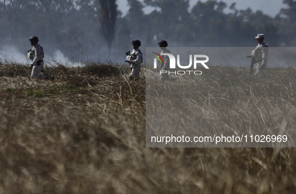 Members of the National Guard are guarding the area where a fire occurred in the Cuemanco Ecological Park in Xochimilco, Mexico City. 