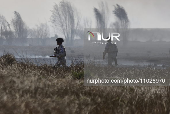 Members of the National Guard are guarding the area where a fire occurred in the Cuemanco Ecological Park in Xochimilco, Mexico City. 