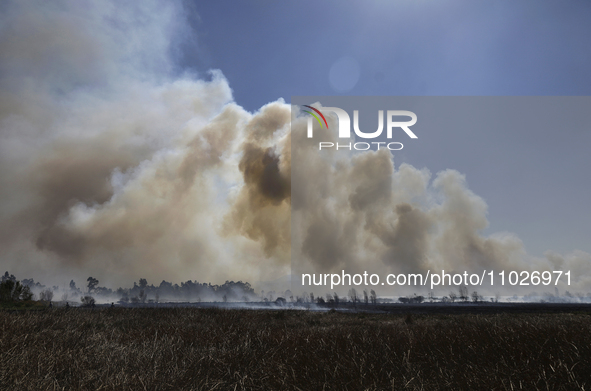 A fire is burning in the Cuemanco Ecological Park in Xochimilco, Mexico City. 