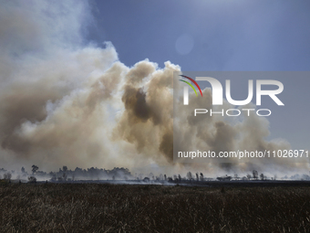 A fire is burning in the Cuemanco Ecological Park in Xochimilco, Mexico City. (