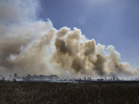 A fire is burning in the Cuemanco Ecological Park in Xochimilco, Mexico City. (