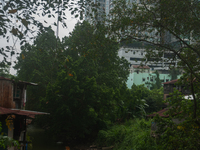 Plastic waste scavengers are collecting debris in the Babura River, which is polluted by plastic waste, in Medan, North Sumatra, Indonesia,...