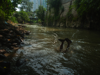 Children are playing in the polluted Babura River, which is contaminated with plastic waste, in Medan, North Sumatra, Indonesia, on February...