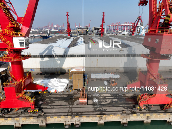 Dock workers are loading fertilizer that has been unloaded from a cargo ship at the port of Lianyungang, in Jiangsu Province, China, on Febr...