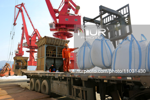 Dock workers are loading fertilizer that has been unloaded from a cargo ship at the port of Lianyungang, in Jiangsu Province, China, on Febr...