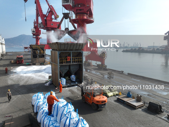 Dock workers are loading fertilizer that has been unloaded from a cargo ship at the port of Lianyungang, in Jiangsu Province, China, on Febr...