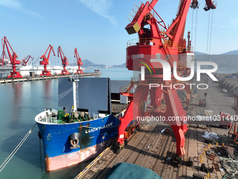 Cargo ships are unloading newly arrived chemical fertilizers at the port terminal in Lianyungang, East China's Jiangsu province, on February...