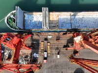 Cargo ships are unloading newly arrived chemical fertilizers at the port terminal in Lianyungang, East China's Jiangsu province, on February...