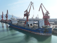 Cargo ships are unloading newly arrived chemical fertilizers at the port terminal in Lianyungang, East China's Jiangsu province, on February...