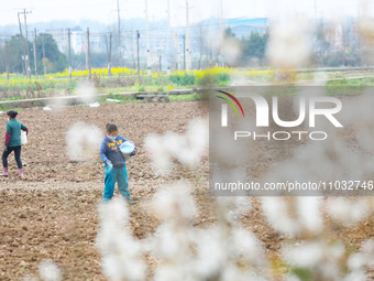 Villagers are applying compound fertilizer to a ploughed field at Renxian village in Chongqing, China, on February 27, 2024. (