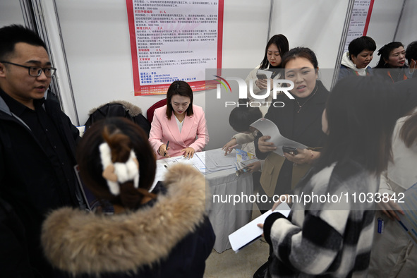 A large number of job seekers are attending a spring job fair in Shenyang, Liaoning Province, China, on February 28, 2024. 