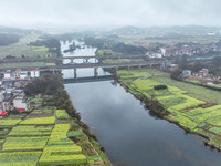 Fields of rapeseed flowers are blooming and mingling with villages, rivers, distant mountains, and roads in Yongzhou, Hunan Province, China,...