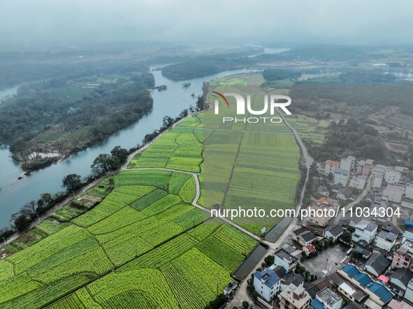 Fields of rapeseed flowers are blooming and mingling with villages, rivers, distant mountains, and roads in Yongzhou, Hunan Province, China,...