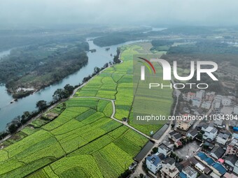 Fields of rapeseed flowers are blooming and mingling with villages, rivers, distant mountains, and roads in Yongzhou, Hunan Province, China,...