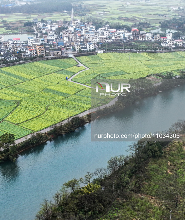 Fields of rapeseed flowers are blooming and mingling with villages, rivers, distant mountains, and roads in Yongzhou, Hunan Province, China,...