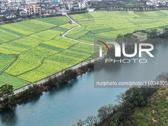 Fields of rapeseed flowers are blooming and mingling with villages, rivers, distant mountains, and roads in Yongzhou, Hunan Province, China,...