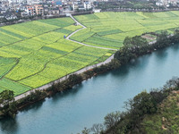 Fields of rapeseed flowers are blooming and mingling with villages, rivers, distant mountains, and roads in Yongzhou, Hunan Province, China,...