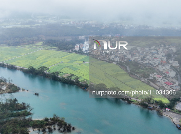 Fields of rapeseed flowers are blooming and mingling with villages, rivers, distant mountains, and roads in Yongzhou, Hunan Province, China,...