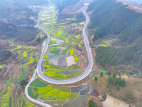 Rapeseed flowers are blooming in Wenjiang village, Qiandongnan, Guizhou province, China, on March 1, 2024. (