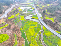 Rapeseed flowers are blooming in Wenjiang village, Qiandongnan, Guizhou province, China, on March 1, 2024. (