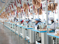 Workers at a toy export enterprise are producing plush toys for export in Lianyungang, China, on March 2, 2024. (