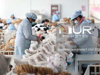 Workers at a toy export enterprise are producing plush toys for export in Lianyungang, China, on March 2, 2024. (