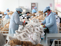 Workers at a toy export enterprise are producing plush toys for export in Lianyungang, China, on March 2, 2024. (