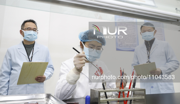 College students are taking part in a microbiology test competition in Huai'an, China, on March 2, 2024. 